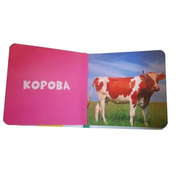 Children's Book | 10 Animals | Zhivotnye | Foto-kniga | Russian Edition - Picture 7 of 16